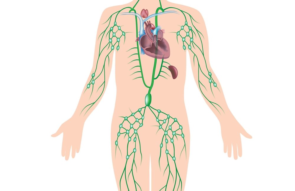 Love your Lymphatic System