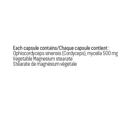 Cordyceps