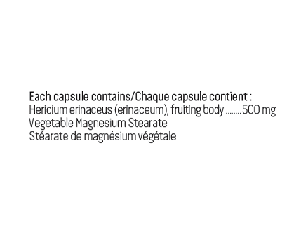 Hericium (crinière de lion) 500 mg